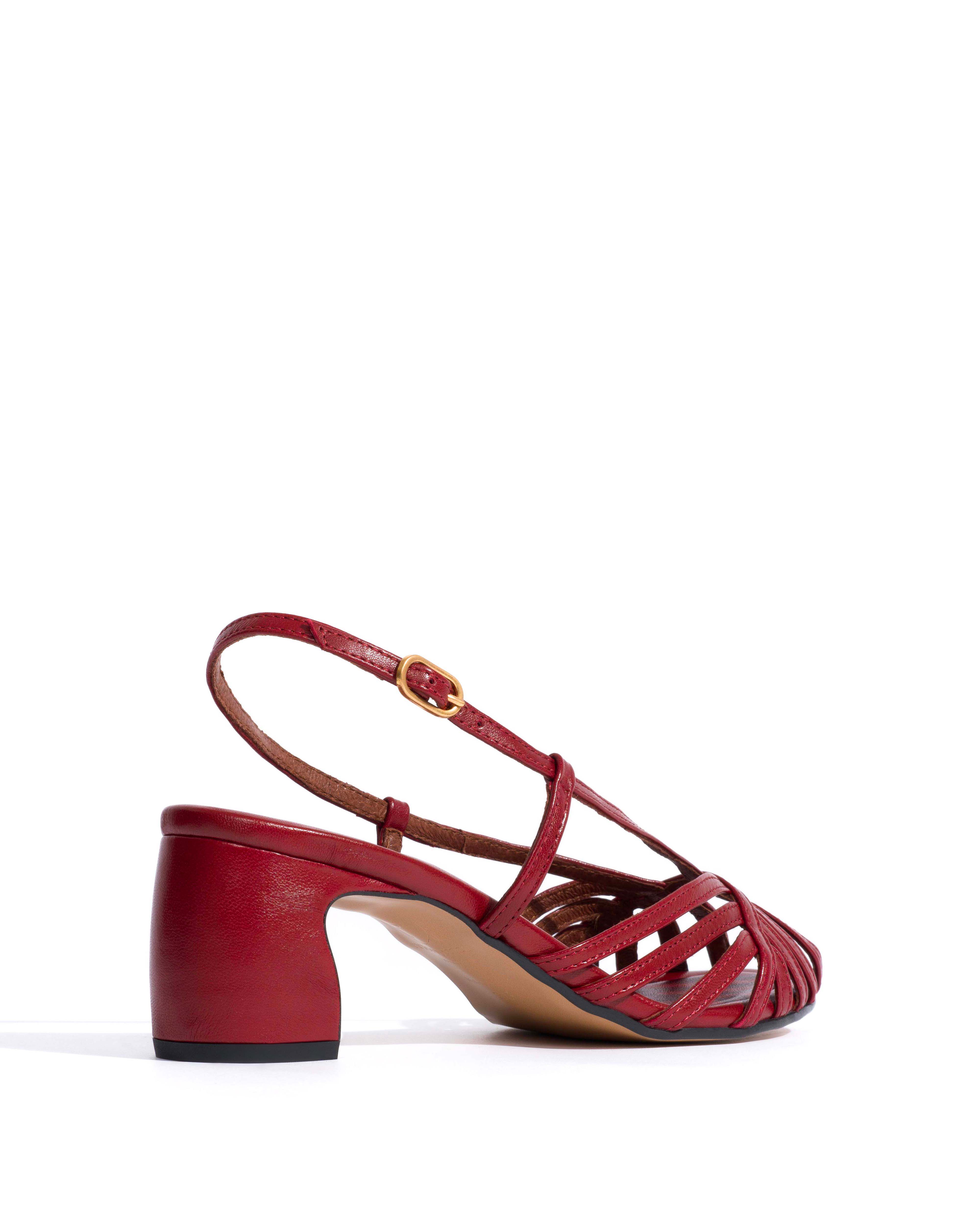 Briddie 50 Shiny lamb Pomegranate - Image 3