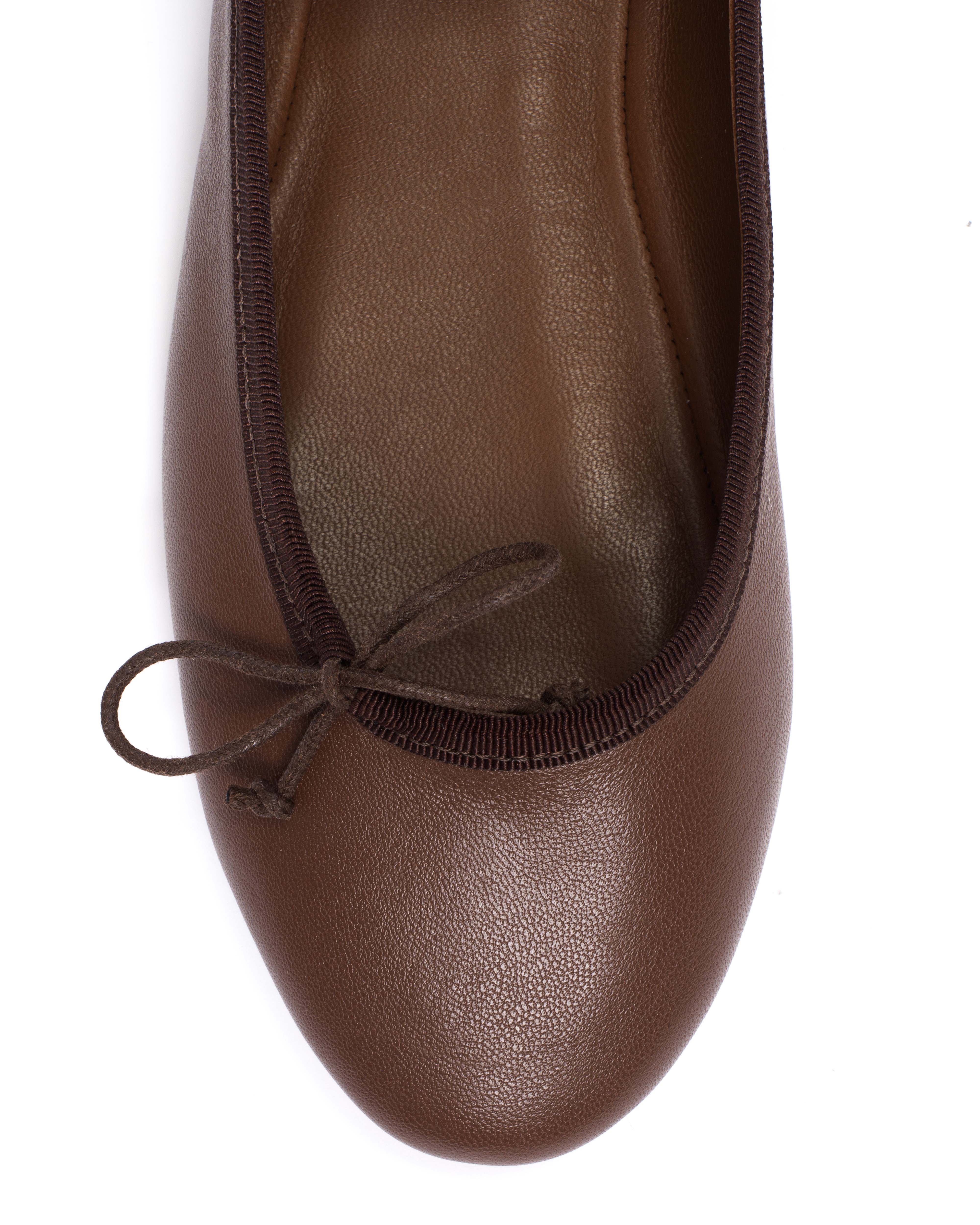Rhina Silky lamb Chocolate - Image 6